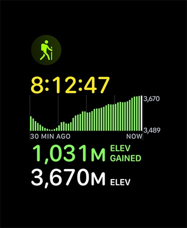 Hiking workout card, metrics: time, elevation
