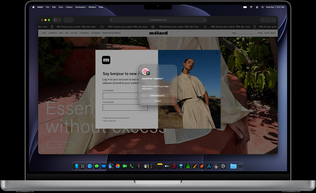 Dans Safari, une fenêtre invite la personne à utiliser Touch ID pour se connecter à un site web