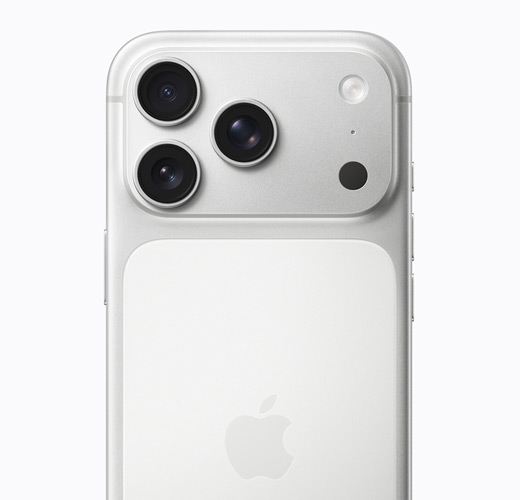 iPhone 16 Pro, White Titanium color, back exterior