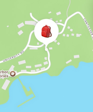 تطبيق تحديد الموقع قيد الاستخدام