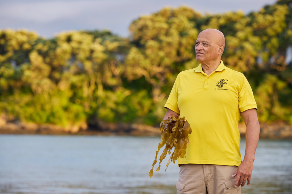 A portrait of Rikirangi Gage, CEO of Te Whānau-ā-Apanui, holding a handful of seaweed.