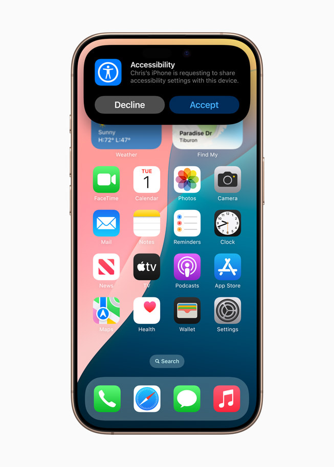Share Accessibility Settings is shown on iPhone 16 Pro.