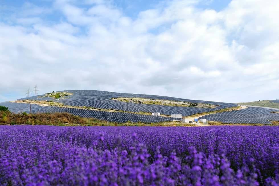 Vista aérea de una instalación de energías renovables financiada por Apple en Grecia con un campo de llamativas flores moradas a su alrededor.