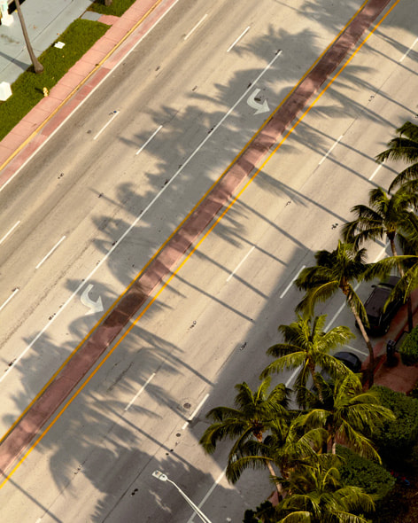 أشجار النخيل تلقي بظلالها الفضية على شارع فارغ في ميامي في صورة تم التقاطها باستخدام iPhone 16 Pro من شرفة الفندق الذي تقيم فيه المصورة.