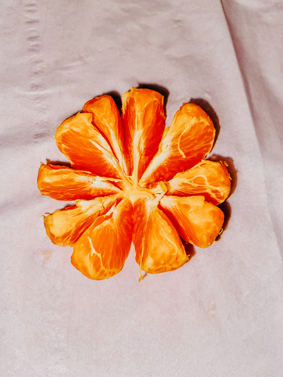 안드레(Andre)가 iPhone 11으로 찍다.