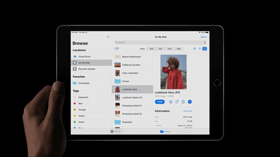 iPad showing Files app.