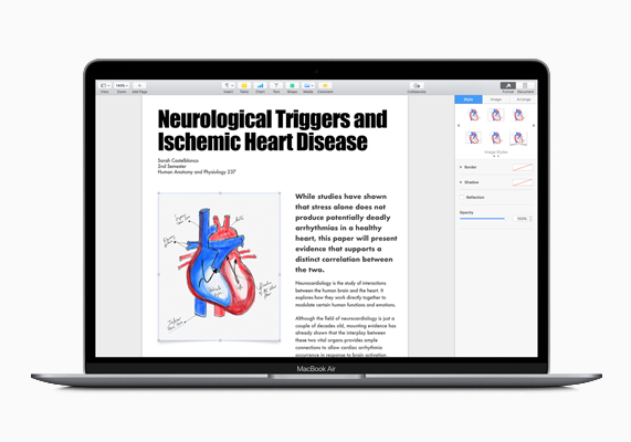 MacBook Air showing education document in Pages.