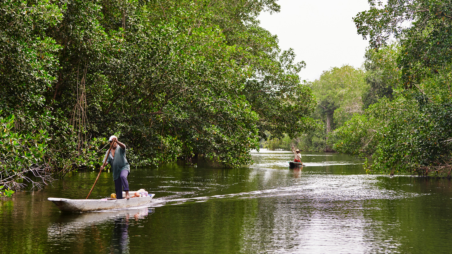   Two people steer their boats in a mangrove forest in Colombia.