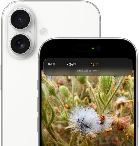 白色 iPhone 17，機身背面展示圓角設計與左上角的雙融合相機，機身正面展示動態島與圓角設計