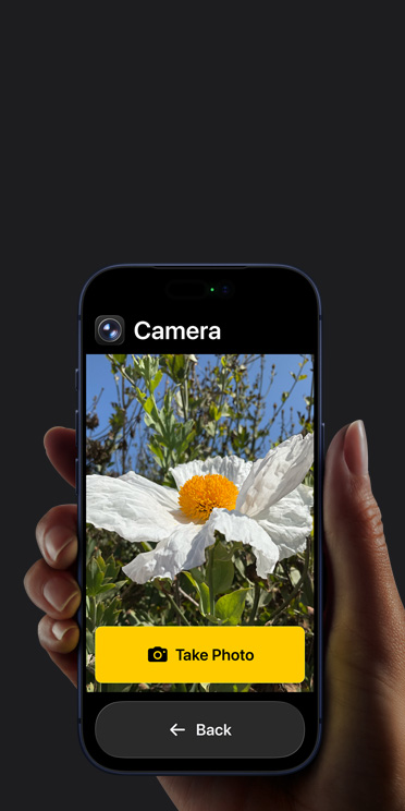 Écran d’iPhone 17 Pro affichant l’interface simplifiée de l’app Appareil photo avec une fleur blanche dans le cadre, le bouton « Prendre une photo » et le bouton « Retour » en dessous