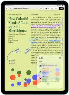 App Pages su un iPad Air