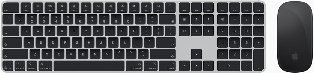 Vue du dessus du Magic Keyboard et de la Magic Mouse